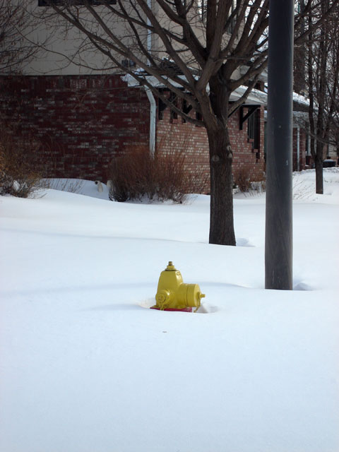 fire hydrant in snow, Fort Collins, Colorado, 2006