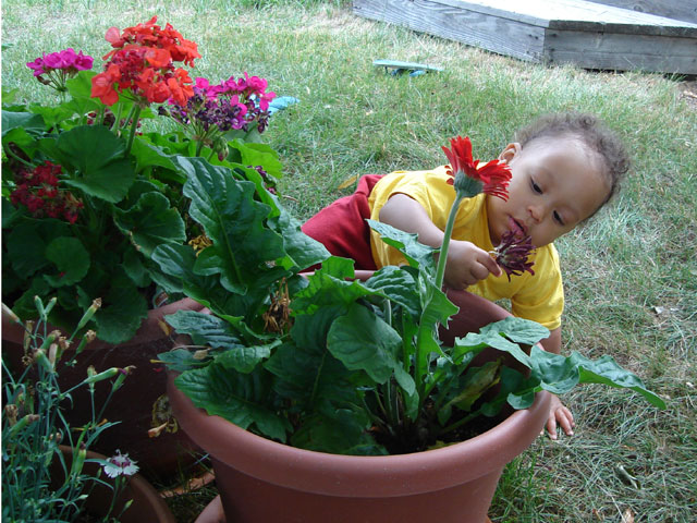 Joachim with flowers, Fort Collins, Colorado, 2006