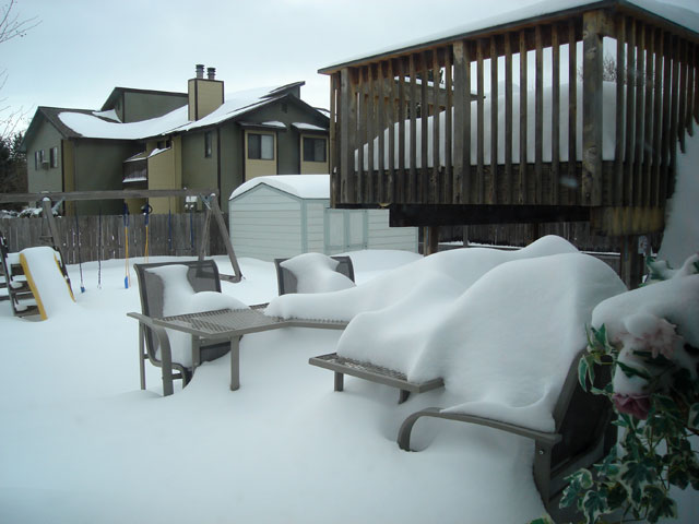 back yard covered in snow, Fort Collins, Colorado, 2006
