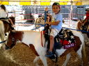 Joachim riding Tonto at the Larimer County Fair, Loveland, Colorado, 2009